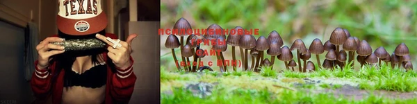ешки Каменногорск