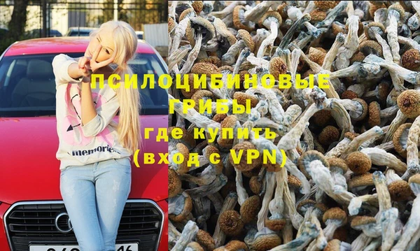 гашик Инта