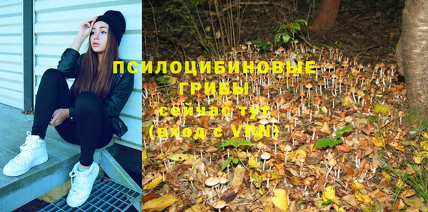 тгк Иннополис