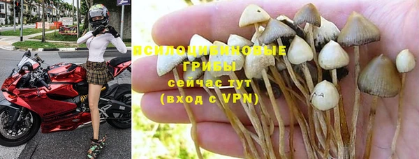 тгк Иннополис