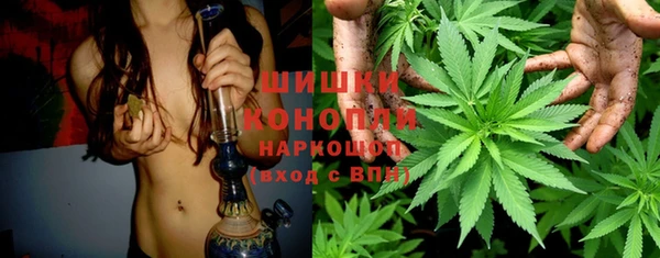 гашик Инта