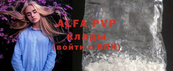 гашик Инта
